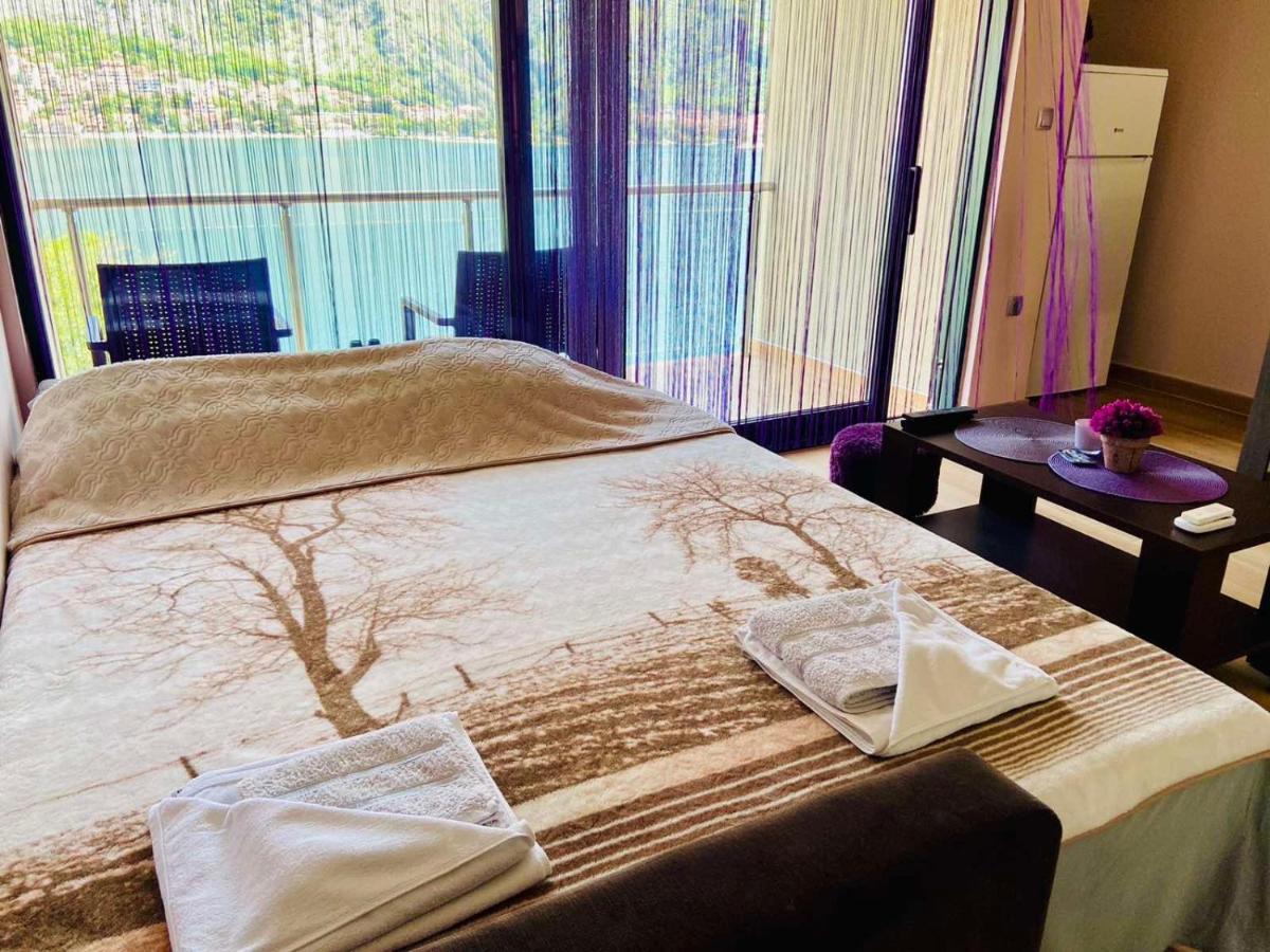 Fortress View Apartment 科托尔 外观 照片